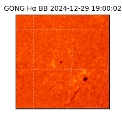 gong - 2024-12-29T19:00:02