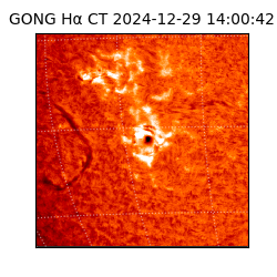 gong - 2024-12-29T14:00:42