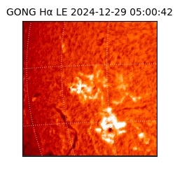 gong - 2024-12-29T05:00:42