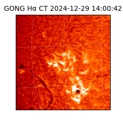 gong - 2024-12-29T14:00:42