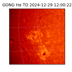 gong - 2024-12-29T12:00:22