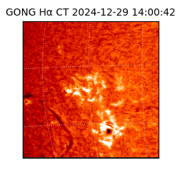 gong - 2024-12-29T14:00:42