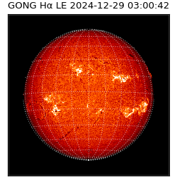 gong - 2024-12-29T03:00:42
