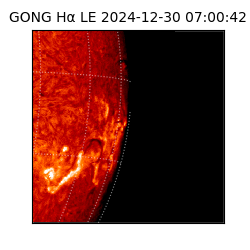 gong - 2024-12-30T07:00:42