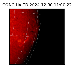 gong - 2024-12-30T11:00:22