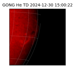 gong - 2024-12-30T15:00:22