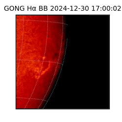 gong - 2024-12-30T17:00:02