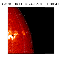gong - 2024-12-30T01:00:42