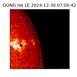 gong - 2024-12-30T07:00:42