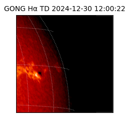 gong - 2024-12-30T12:00:22