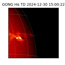gong - 2024-12-30T15:00:22