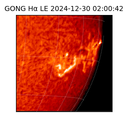 gong - 2024-12-30T02:00:42