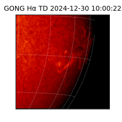gong - 2024-12-30T10:00:22