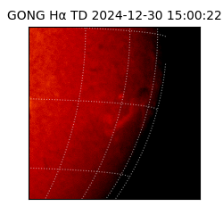 gong - 2024-12-30T15:00:22