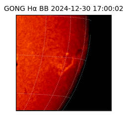 gong - 2024-12-30T17:00:02
