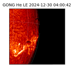 gong - 2024-12-30T04:00:42