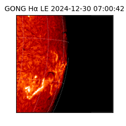 gong - 2024-12-30T07:00:42