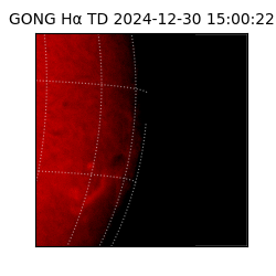 gong - 2024-12-30T15:00:22