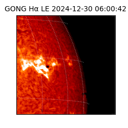 gong - 2024-12-30T06:00:42