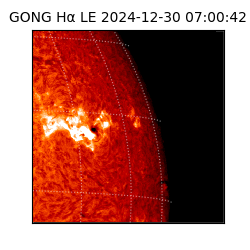 gong - 2024-12-30T07:00:42