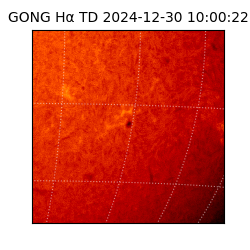 gong - 2024-12-30T10:00:22