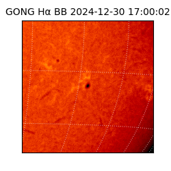 gong - 2024-12-30T17:00:02