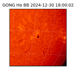 gong - 2024-12-30T18:00:02