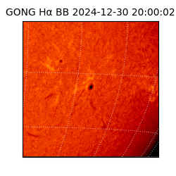 gong - 2024-12-30T20:00:02