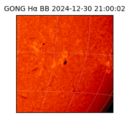 gong - 2024-12-30T21:00:02