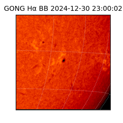 gong - 2024-12-30T23:00:02