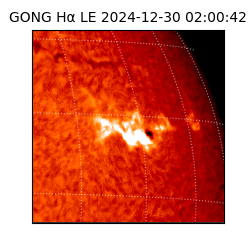 gong - 2024-12-30T02:00:42