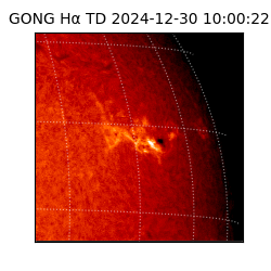 gong - 2024-12-30T10:00:22