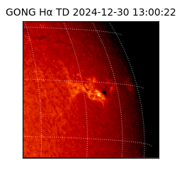 gong - 2024-12-30T13:00:22