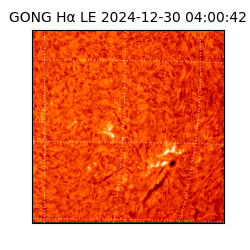 gong - 2024-12-30T04:00:42