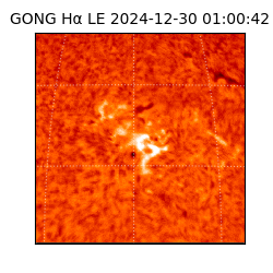 gong - 2024-12-30T01:00:42