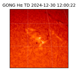 gong - 2024-12-30T12:00:22