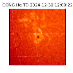 gong - 2024-12-30T12:00:22