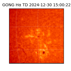 gong - 2024-12-30T15:00:22