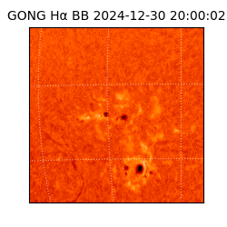 gong - 2024-12-30T20:00:02