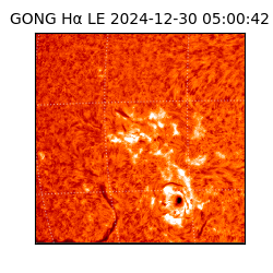 gong - 2024-12-30T05:00:42