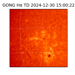 gong - 2024-12-30T15:00:22
