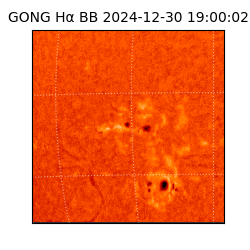 gong - 2024-12-30T19:00:02