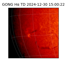 gong - 2024-12-30T15:00:22