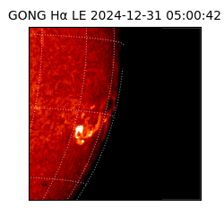 gong - 2024-12-31T05:00:42