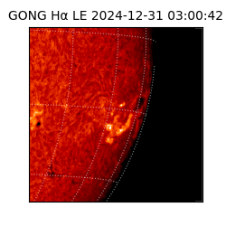 gong - 2024-12-31T03:00:42