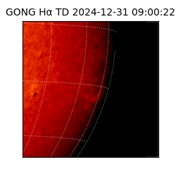 gong - 2024-12-31T09:00:22