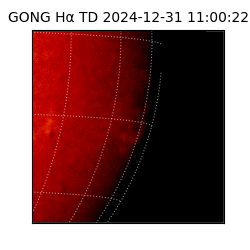 gong - 2024-12-31T11:00:22