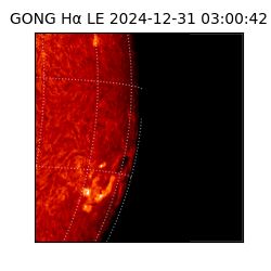 gong - 2024-12-31T03:00:42
