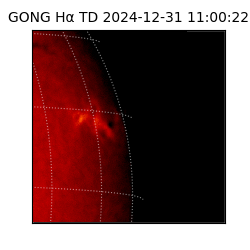 gong - 2024-12-31T11:00:22