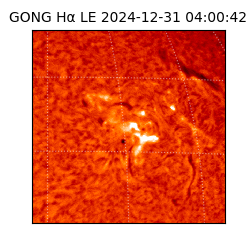 gong - 2024-12-31T04:00:42